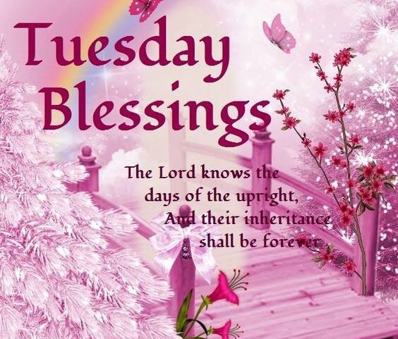 Tuesday Prayers and Blessings: 100 Inspiring Messages