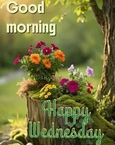 Wednesday Morning Greetings That Inspire Joy & Peace